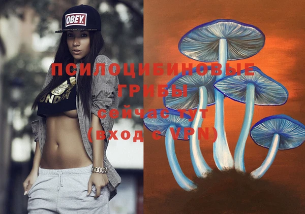 скорость Богородицк