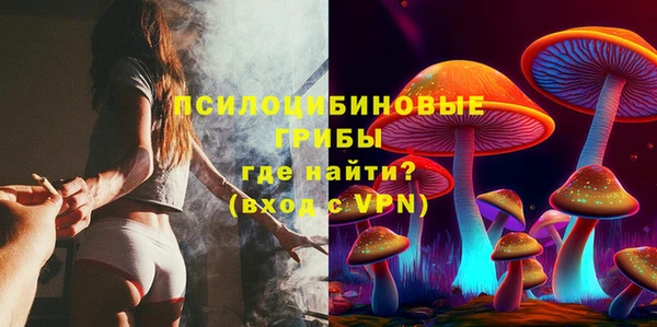 PSILOCYBIN Балахна