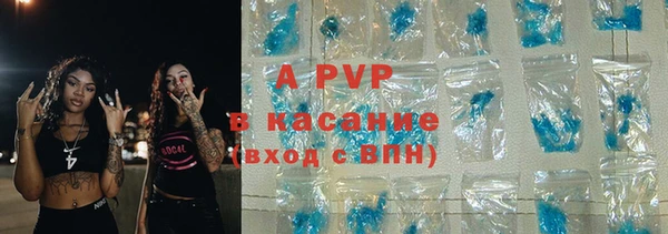 PSILOCYBIN Балахна